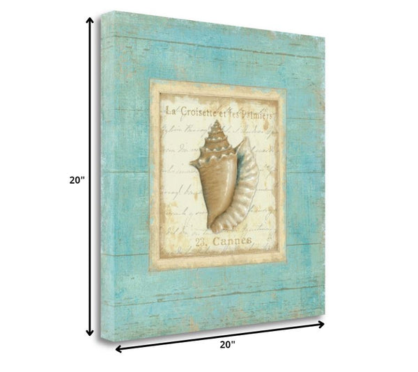 20" French Chic Seashell Print on Gallery Wrap Canvas Wall Art