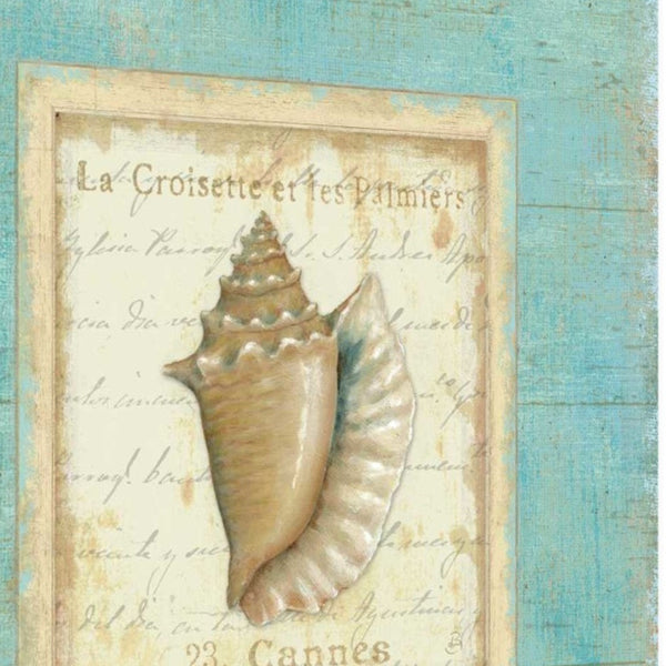 20" French Chic Seashell Print on Gallery Wrap Canvas Wall Art