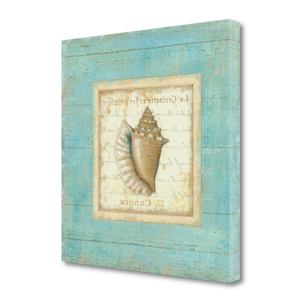 20" French Chic Seashell Print on Gallery Wrap Canvas Wall Art