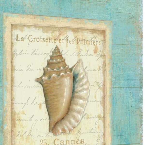 24" French Chic Seashell Print on Gallery Wrap Canvas Wall Art