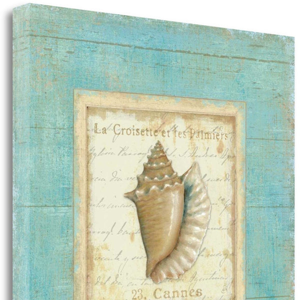 24" French Chic Seashell Print on Gallery Wrap Canvas Wall Art