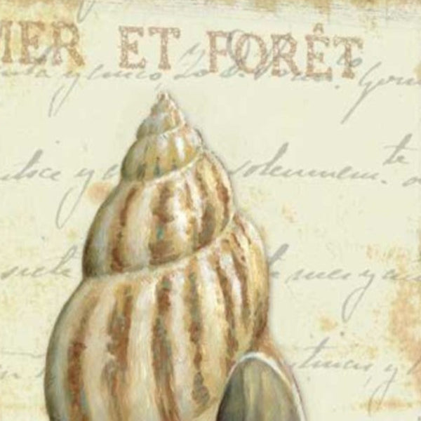 20" French Inspired Seashell Print on Gallery Wrap Canvas Wall Art