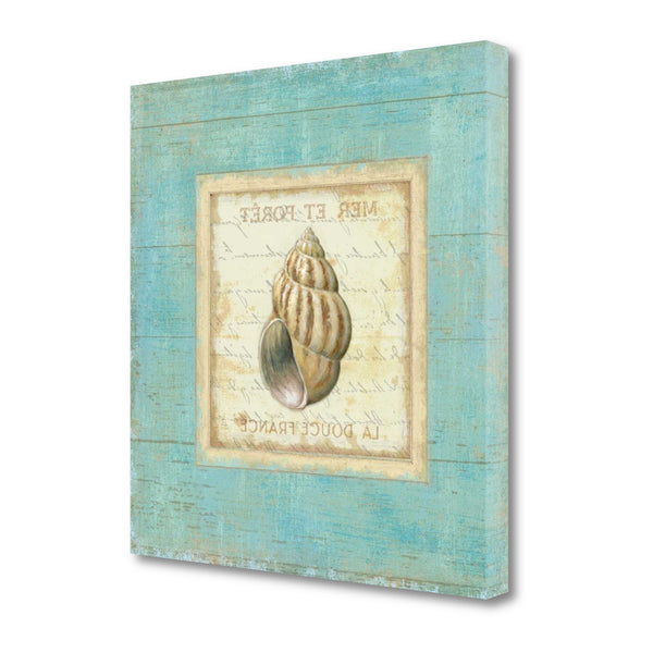 20" French Inspired Seashell Print on Gallery Wrap Canvas Wall Art