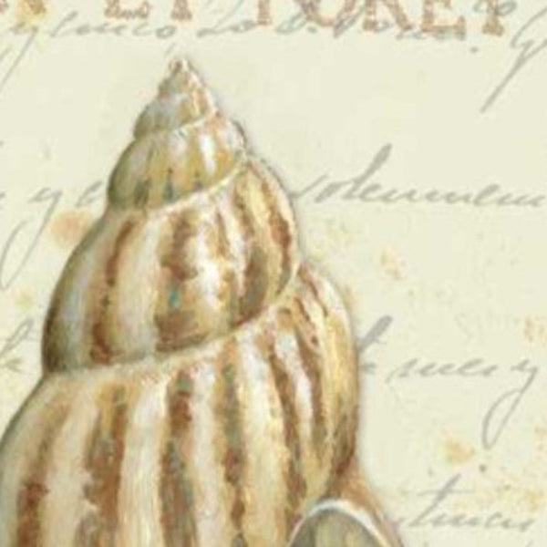 24" French Inspired Seashell Print on Gallery Wrap Canvas Wall Art