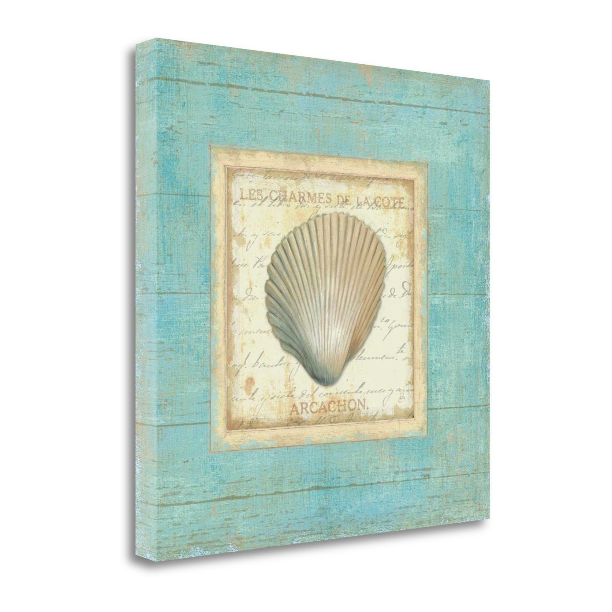 20" French Inspired Seashell Print on Gallery Wrap Canvas Wall Art