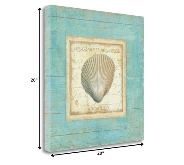 20" French Inspired Seashell Print on Gallery Wrap Canvas Wall Art