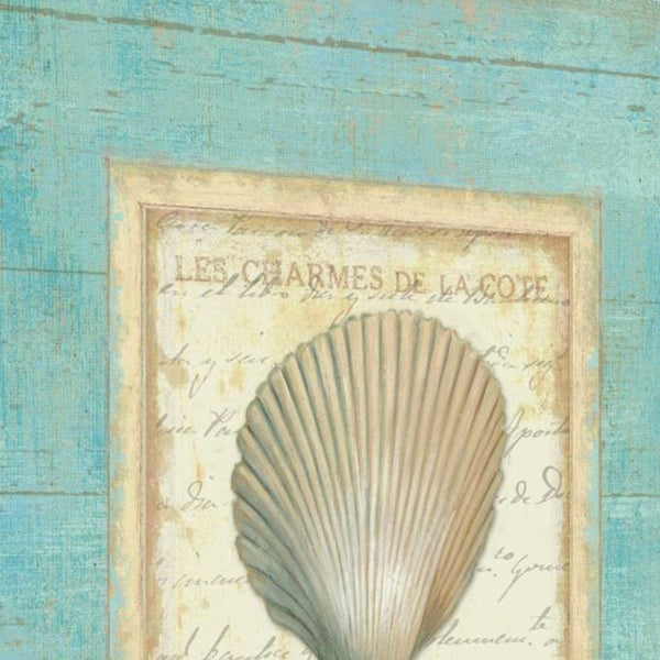 20" French Inspired Seashell Print on Gallery Wrap Canvas Wall Art