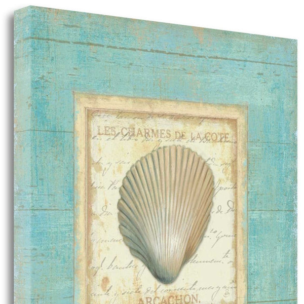 20" French Inspired Seashell Print on Gallery Wrap Canvas Wall Art