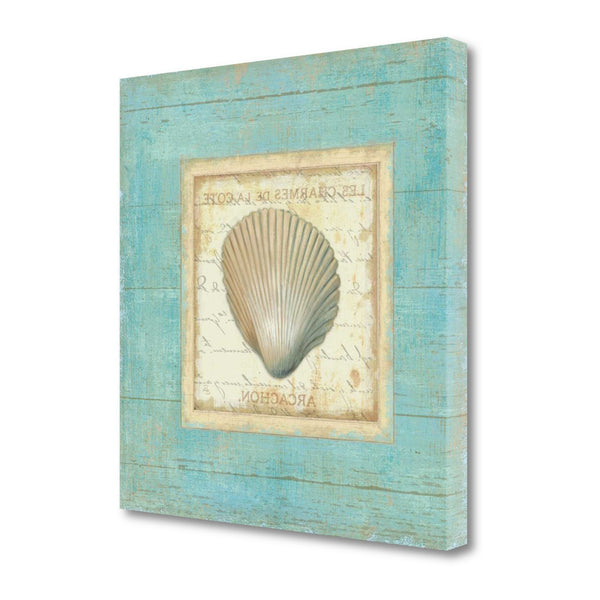 20" French Inspired Seashell Print on Gallery Wrap Canvas Wall Art