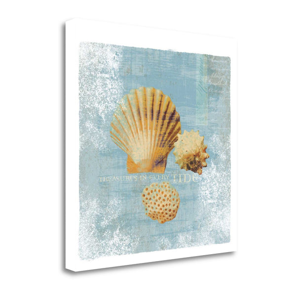 19" Blue Seashell Treasures Giclee Wrap Canvas Wall Art