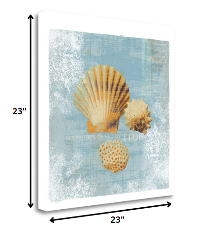 23" Blue Seashell Treasures Giclee Wrap Canvas Wall Art