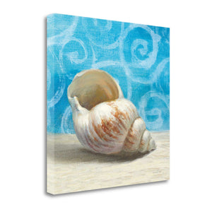 20" Mod Blue Scroll Coastal Conch 1 Giclee Wrap Canvas Wall Art