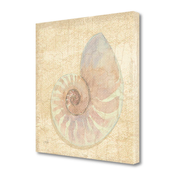 24" Soft Pastel Seashell Giclee Wrap Canvas Wall Art