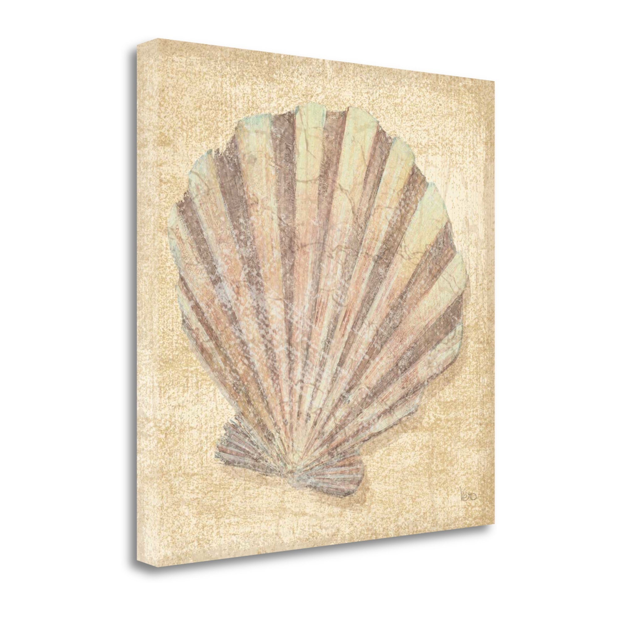 20" Bohemian Pastel Seashell Giclee Wrap Canvas Wall Art