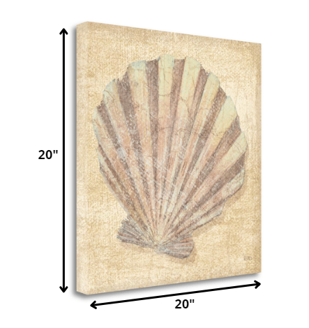 20" Bohemian Pastel Seashell Giclee Wrap Canvas Wall Art