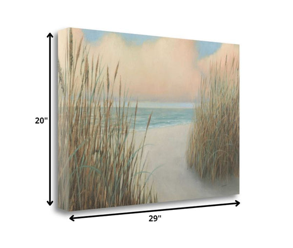 29" Natural Coastal Beach Trail Giclee Print on Gallery Wrap Canvas Wall Art