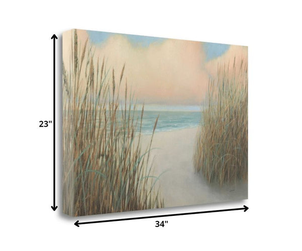 34" Natural Coastal Beach Trail Giclee Print on Gallery Wrap Canvas Wall Art