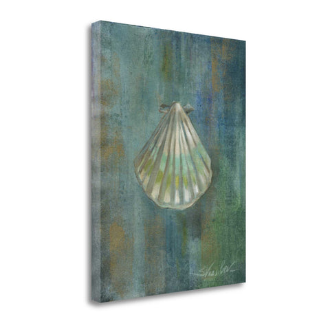 23" Blue Seashell Giclee Wrap Canvas Wall Art