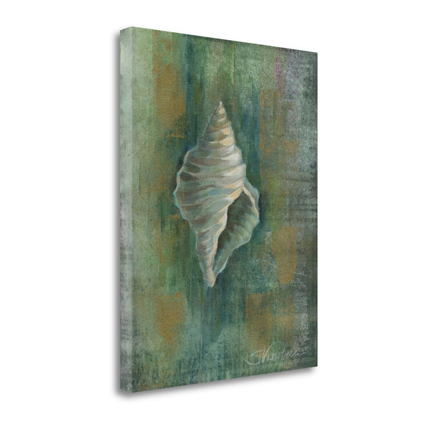 23" Blue and Green Seashell Giclee Wrap Canvas Wall Art