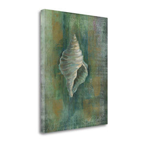 32" Blue and Green Seashell Giclee Wrap Canvas Wall Art