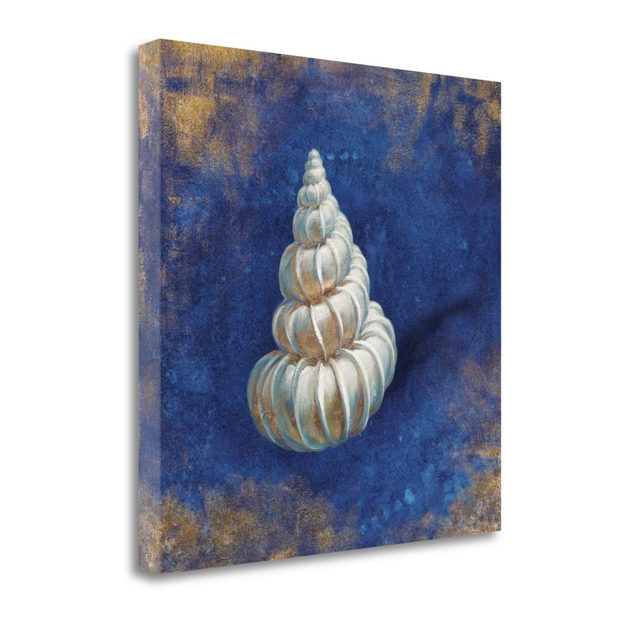 20" Rustic Deep Blue and Gold Shell Giclee Wrap Canvas Wall Art