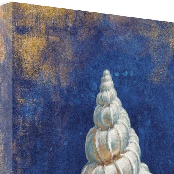 20" Rustic Deep Blue and Gold Shell Giclee Wrap Canvas Wall Art