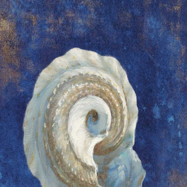 20" Rustic Deep Blue and Gold Conch Giclee Wrap Canvas Wall Art