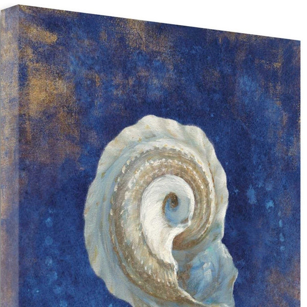 20" Rustic Deep Blue and Gold Conch Giclee Wrap Canvas Wall Art