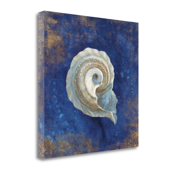 25" Rustic Deep Blue and Gold Conch Giclee Wrap Canvas Wall Art