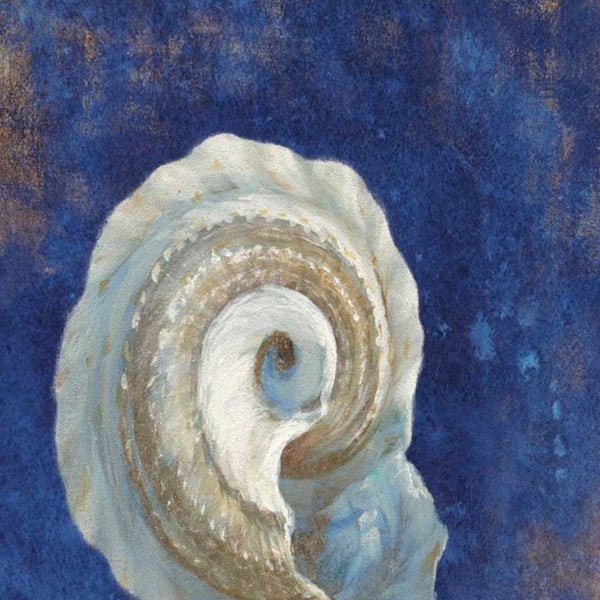 30" Rustic Deep Blue and Gold Conch Giclee Wrap Canvas Wall Art