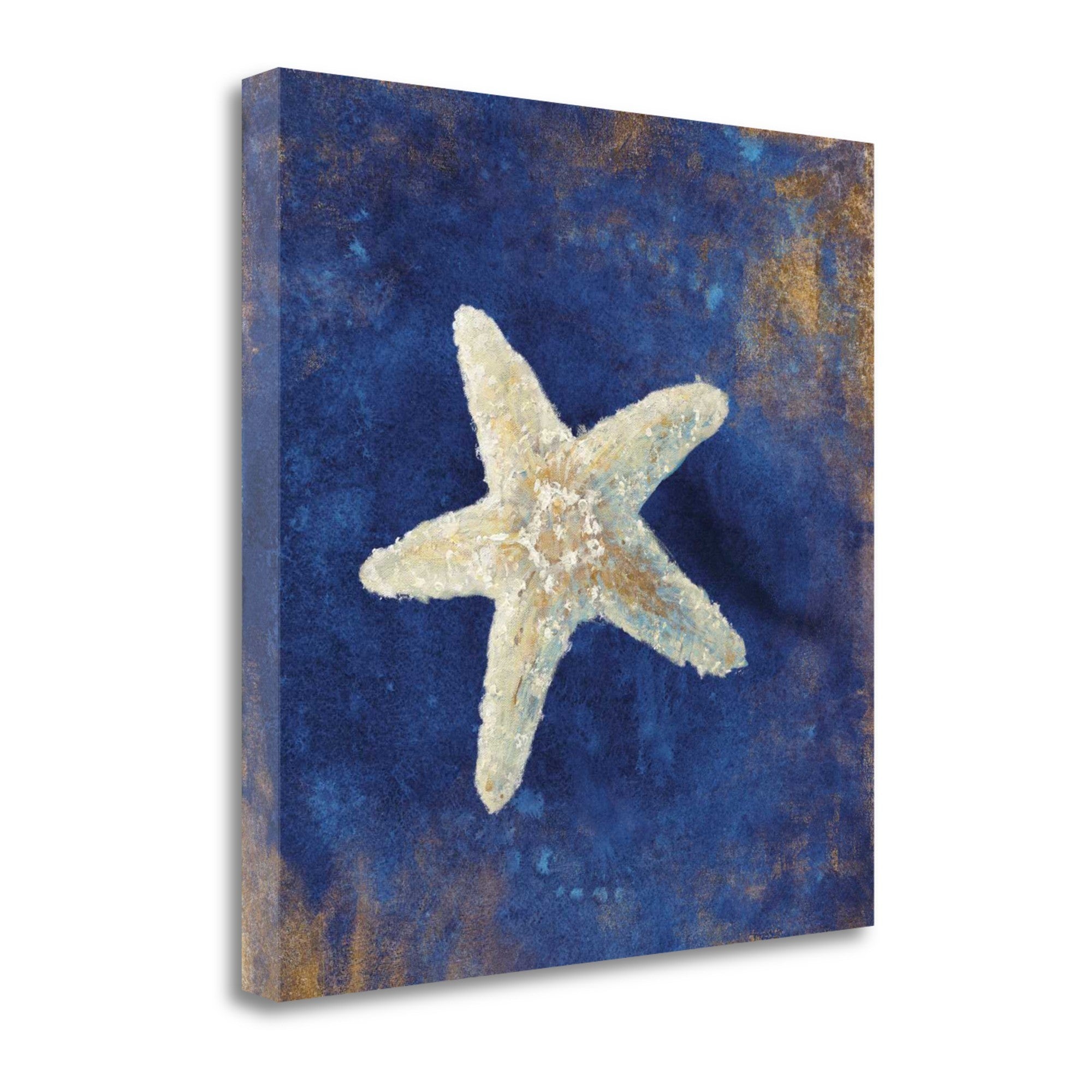 18" Rustic Deep Blue and Gold Starfish Giclee Wrap Canvas Wall Art