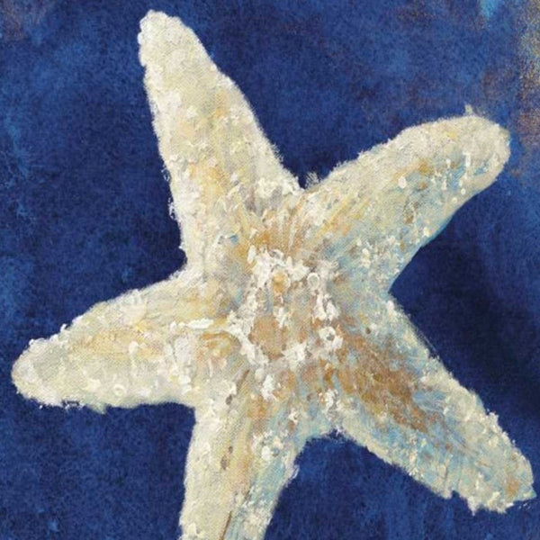 20" Rustic Deep Blue and Gold Starfish Giclee Wrap Canvas Wall Art