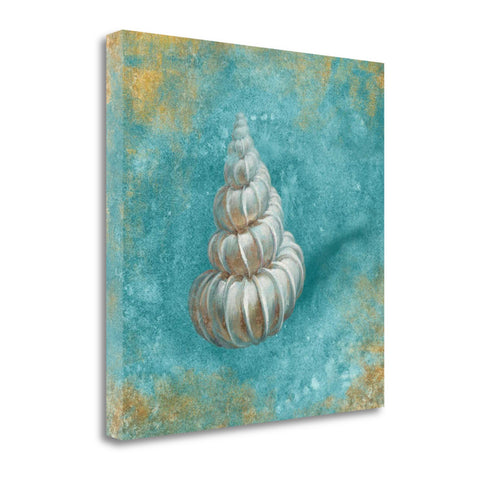 20" Majestic Seashell in the Bright Blue Sea Giclee Wrap Canvas Wall Art