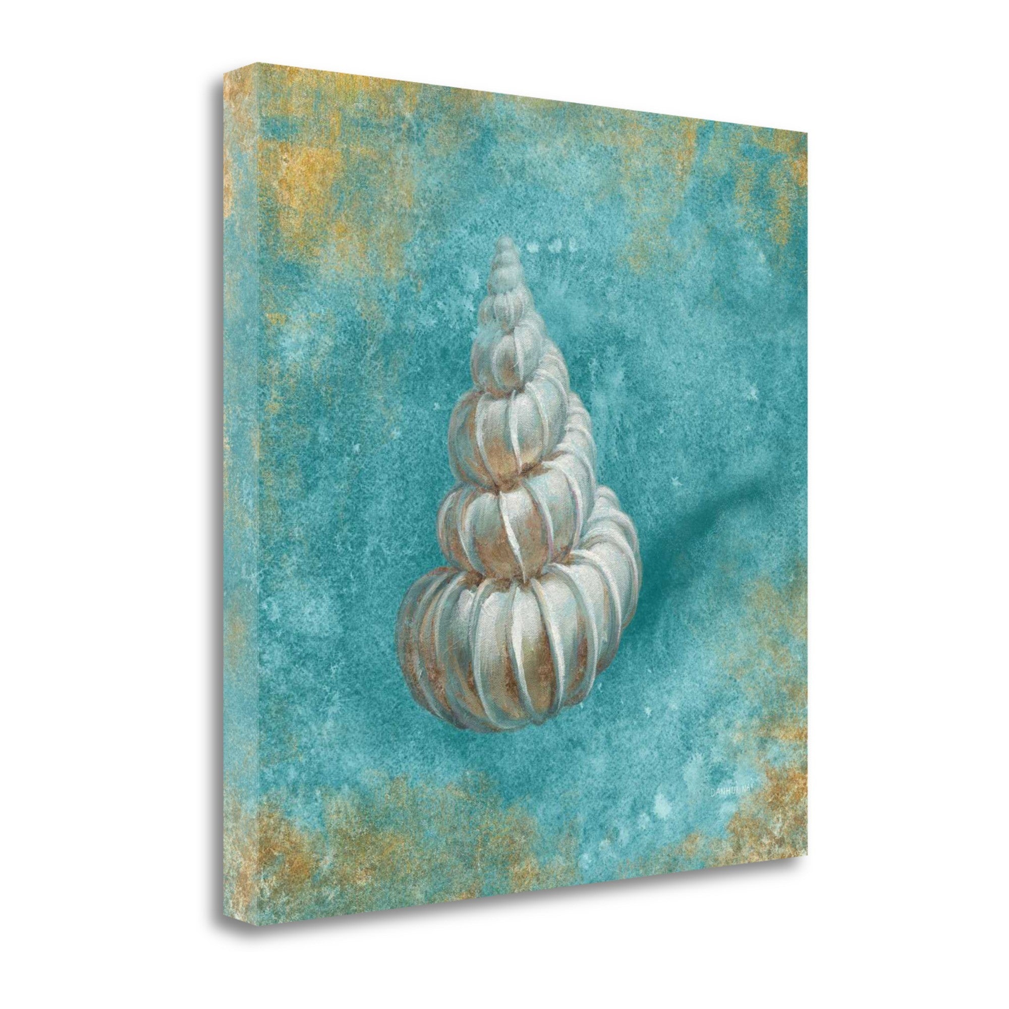 24" Majestic Seashell in the Bright Blue Sea Giclee Wrap Canvas Wall Art