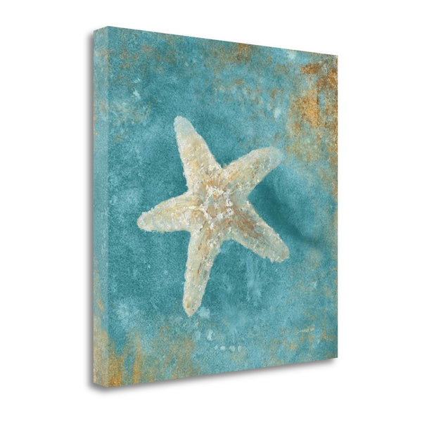 20" Majestic Starfish in the Deep Blue Sea Giclee Wrap Canvas Wall Art