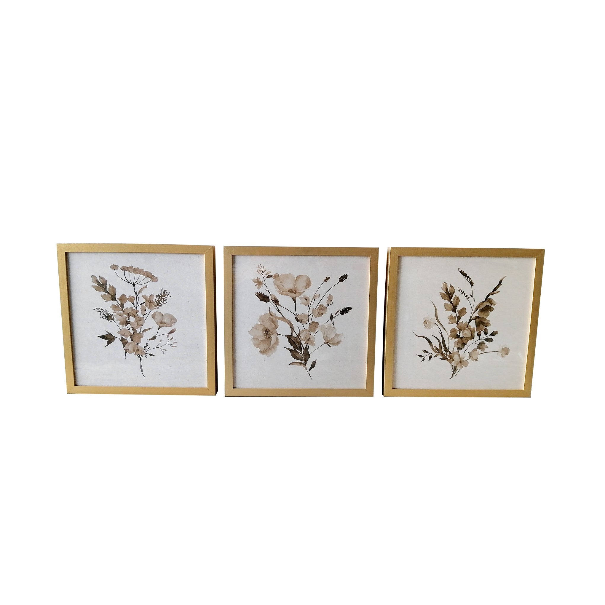 Set of Three Botanical Wildflowers Wall Art