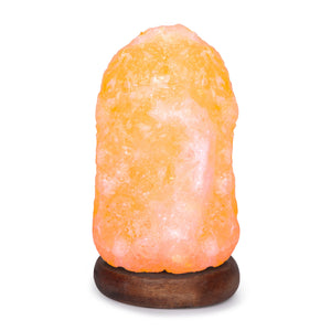 Pink Hand Carved Mini USB Himalayan Salt Lamp