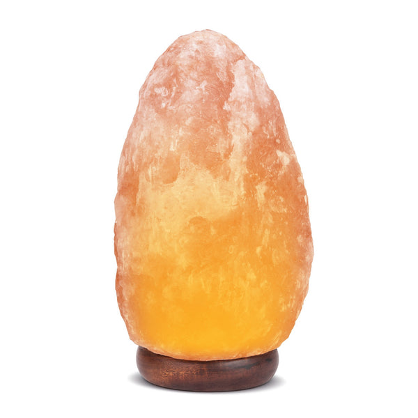 Pink Hand Carved All Natural 9-11 Pound Himalayan Salt Lamp