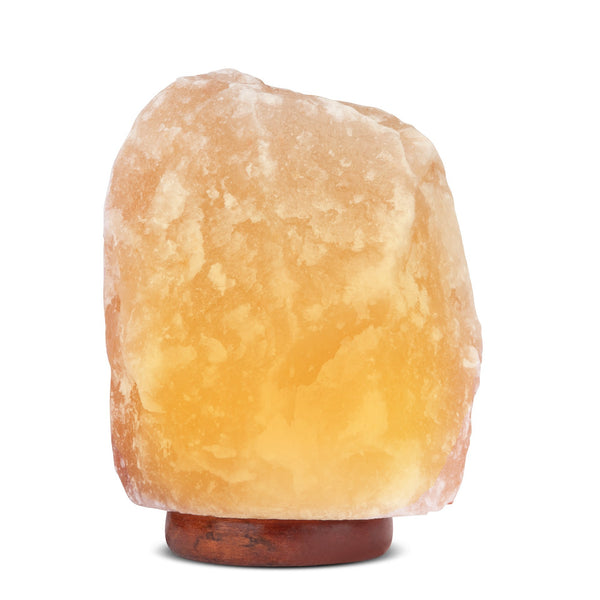 Pink Hand Carved All Natural 12-15 Pound Himalayan Salt Lamp