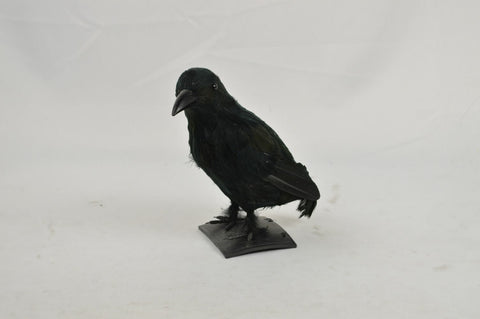 11" Black Faux Feather Crow Sculpture